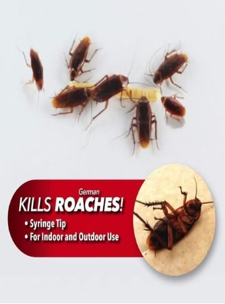 🔥 Elimina las cucarachas de raíz con Roach Expert Gel