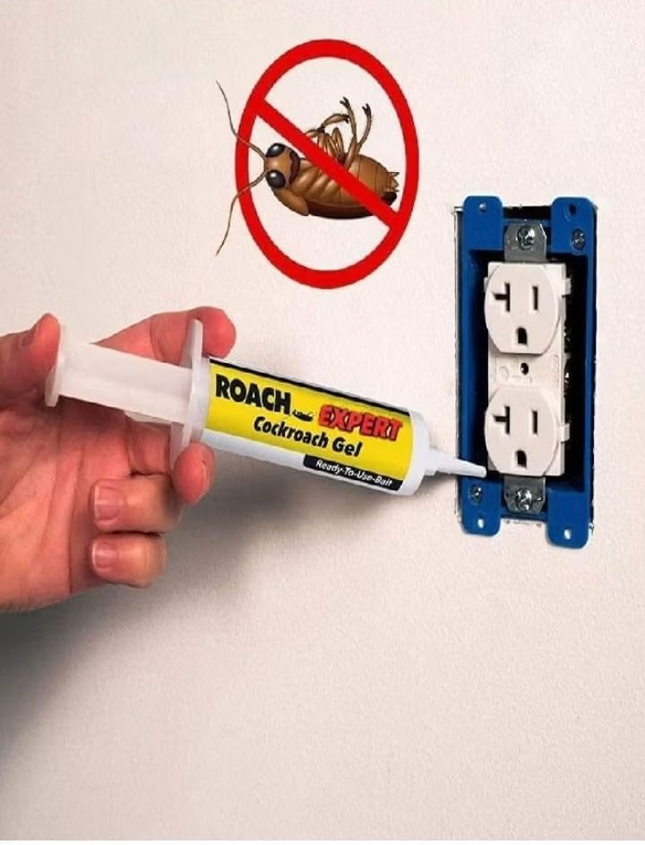 🔥 Elimina las cucarachas de raíz con Roach Expert Gel