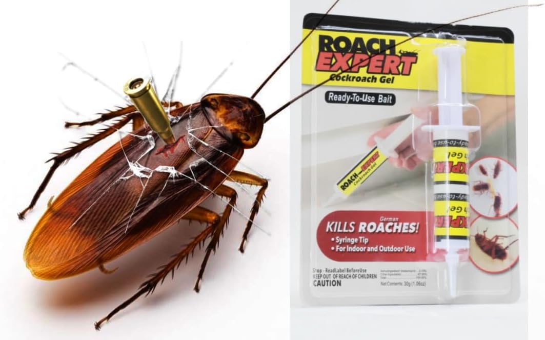🔥 Elimina las cucarachas de raíz con Roach Expert Gel